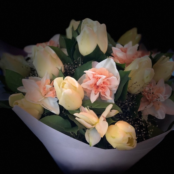 Meet your Posher, Laya - Picture 1 of 1